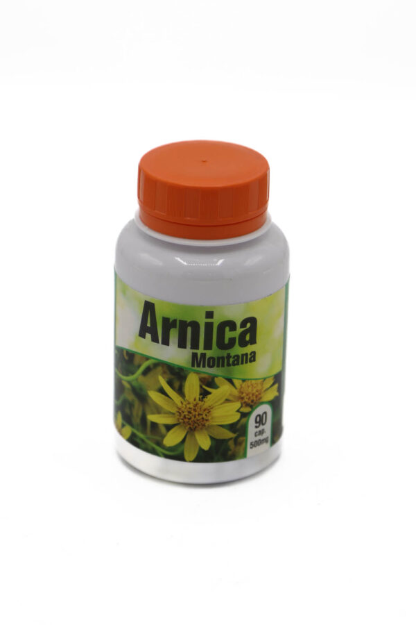 ARNICA-MONTANA